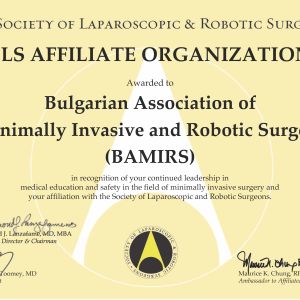 bamirs affiliate certificate